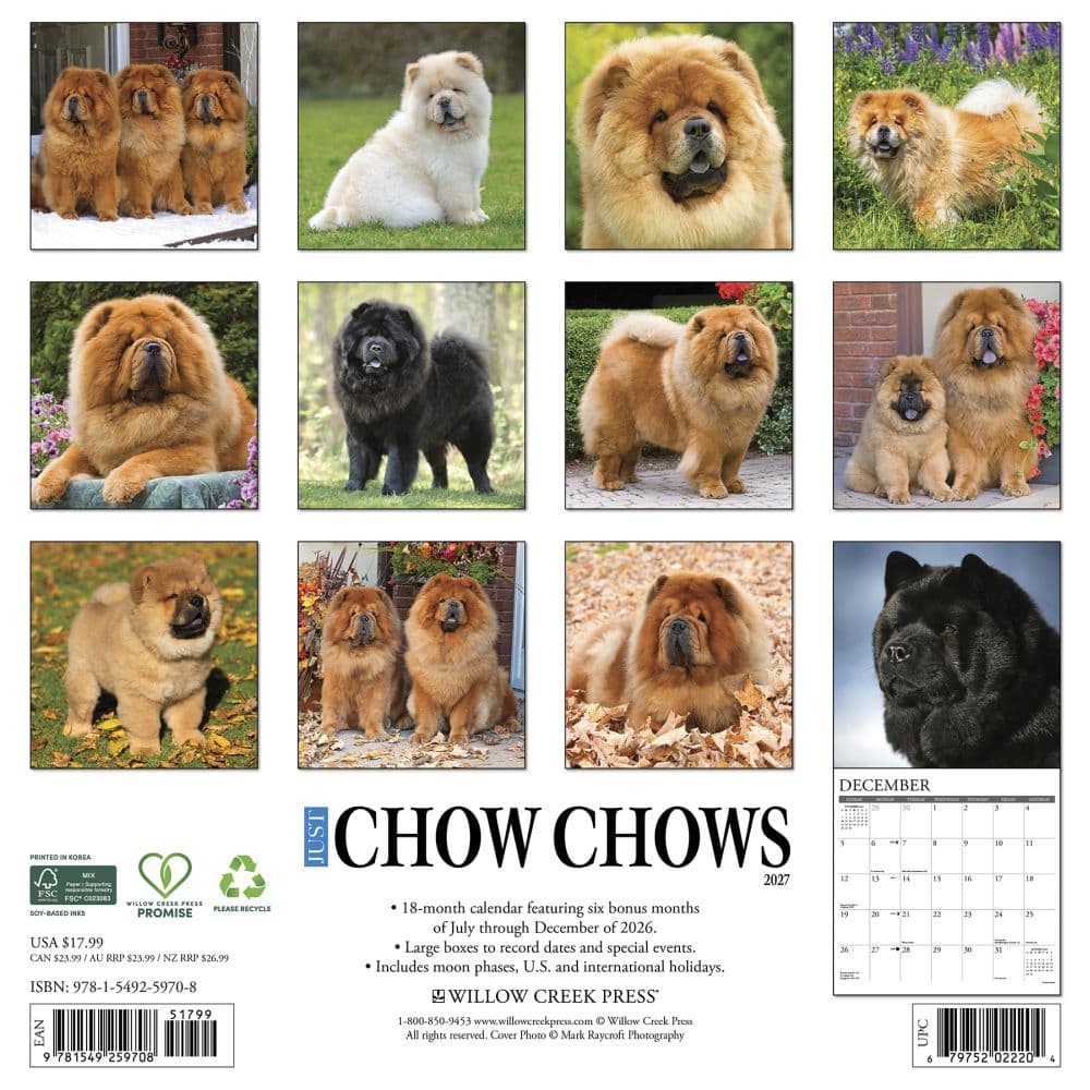 Just Chow Chows 2027 Wall Calendar First Alternate Image