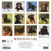 image Just Chocolate Labs 2027 Wall Calendar First Alternate Image