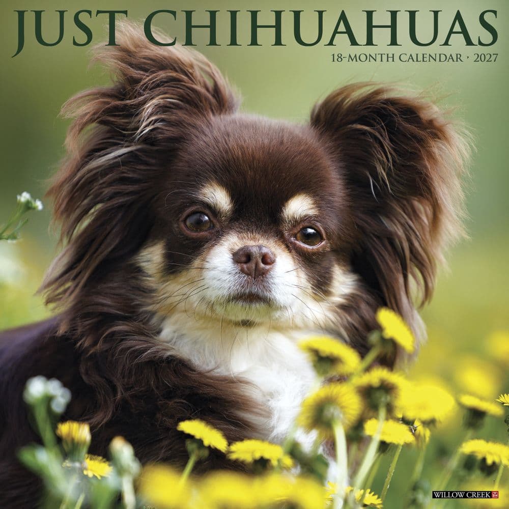 image Just Chihuahuas 2027 Wall Calendar Main Product Image