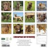 image Just Chesapeake Bay Retrievers 2027 Wall Calendar First Alternate Image