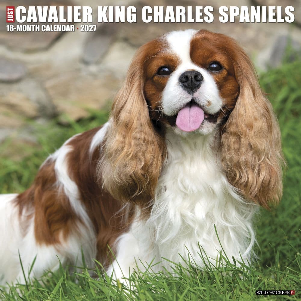 Just Cavalier King Charles 2027 Wall Calendar Main Product Image