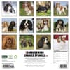 image Just Cavalier King Charles 2027 Wall Calendar First Alternate Image