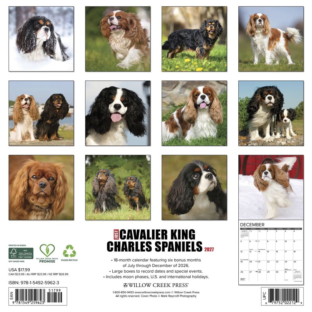 Just Cavalier King Charles 2027 Wall Calendar First Alternate Image