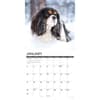 image Just Cavalier King Charles 2027 Wall Calendar Second Alternate Image