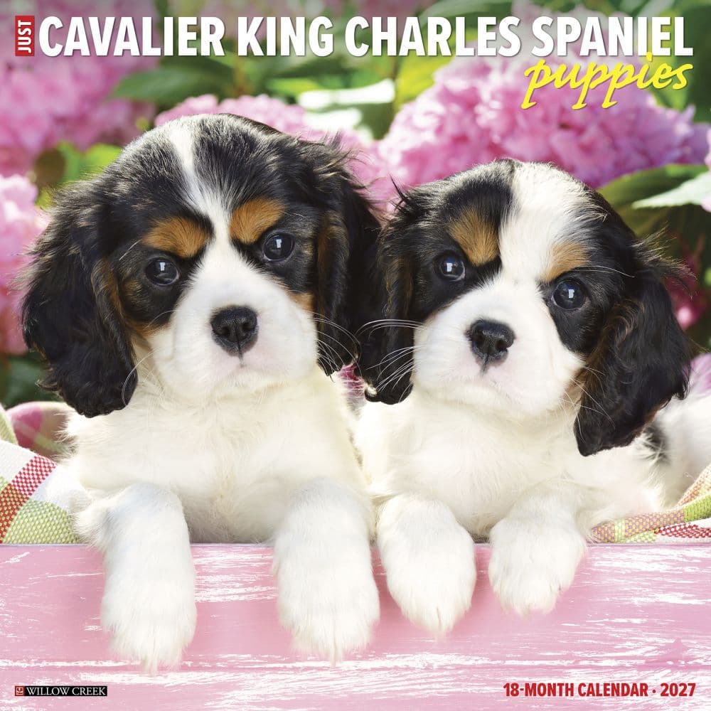Just Cavalier King Charles Puppies 2027 Wall Calendar Main Product Image