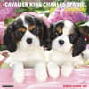 image Just Cavalier King Charles Puppies 2027 Wall Calendar Main Product Image