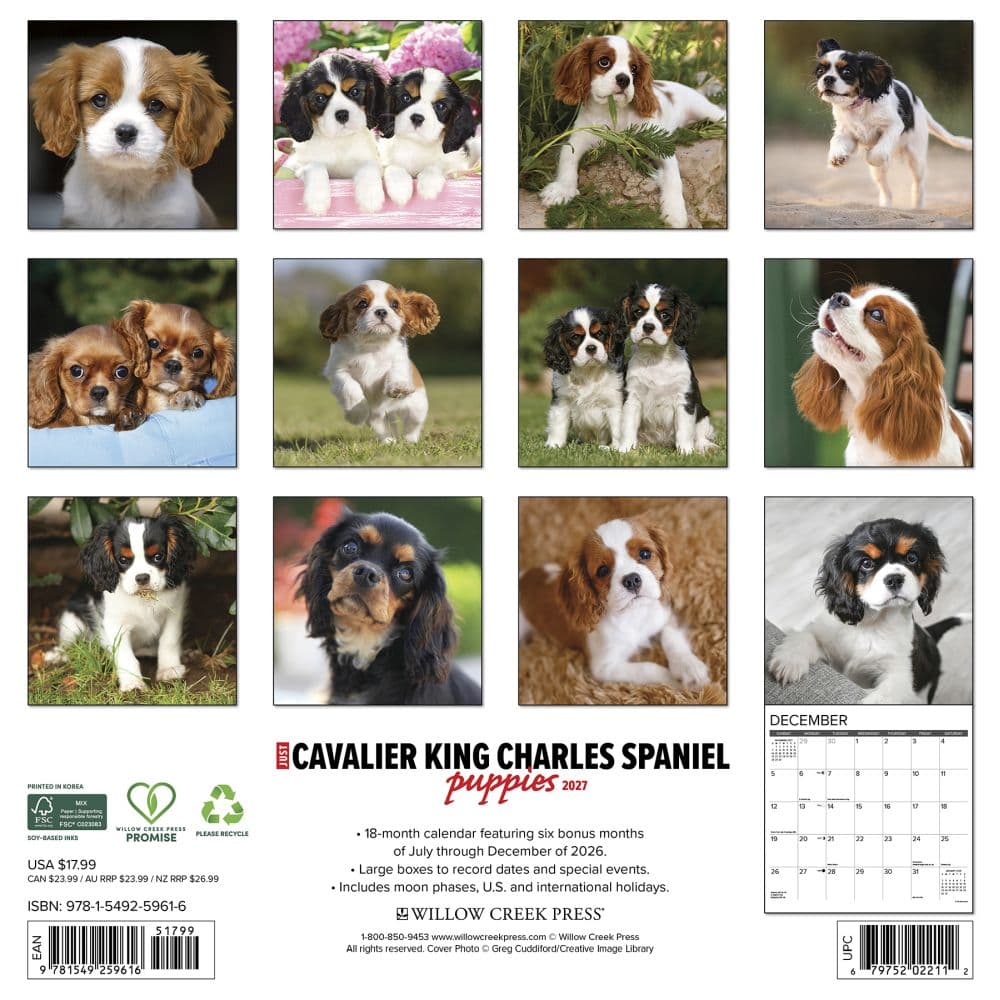 Just Cavalier King Charles Puppies 2027 Wall Calendar First Alternate Image