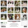image Just Cavalier King Charles Puppies 2027 Wall Calendar First Alternate Image