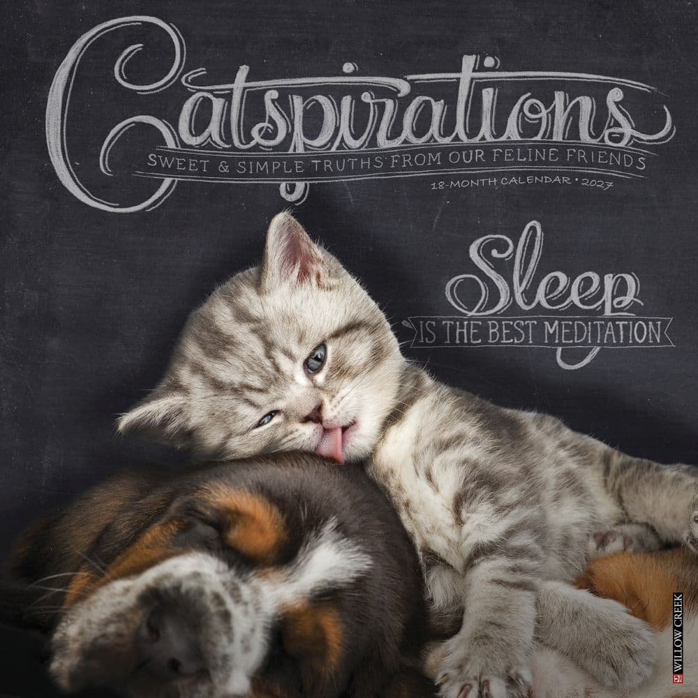 image Catspirations 2027 Wall Calendar Main Product Image