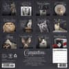 image Catspirations 2027 Wall Calendar First Alternate Image