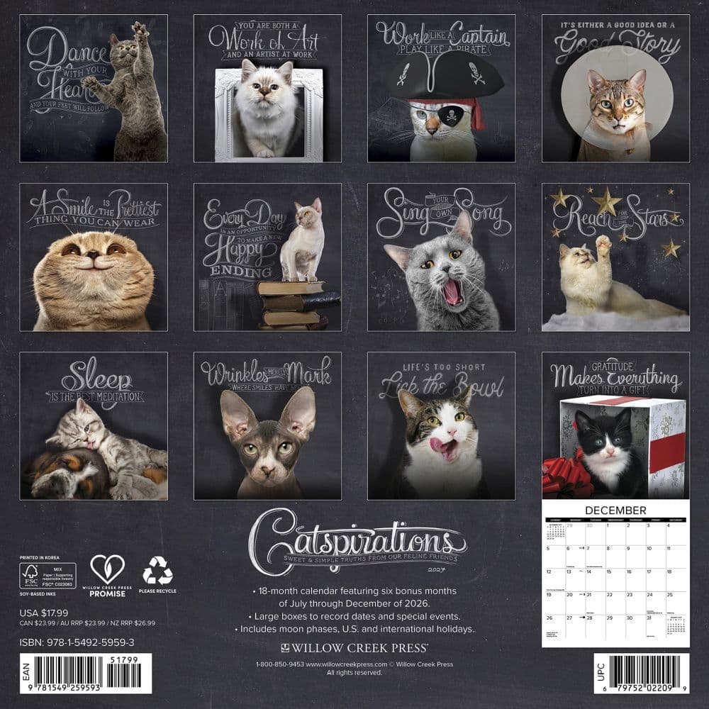 Catspirations 2027 Wall Calendar First Alternate Image