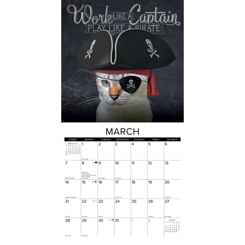 Catspirations 2027 Wall Calendar Second Alternate Image