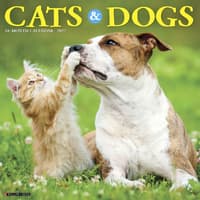 image Cats and Dogs 2027 Wall Calendar Main Product Image