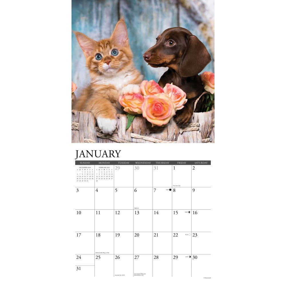 Cats and Dogs 2027 Wall Calendar Second Alternate Image
