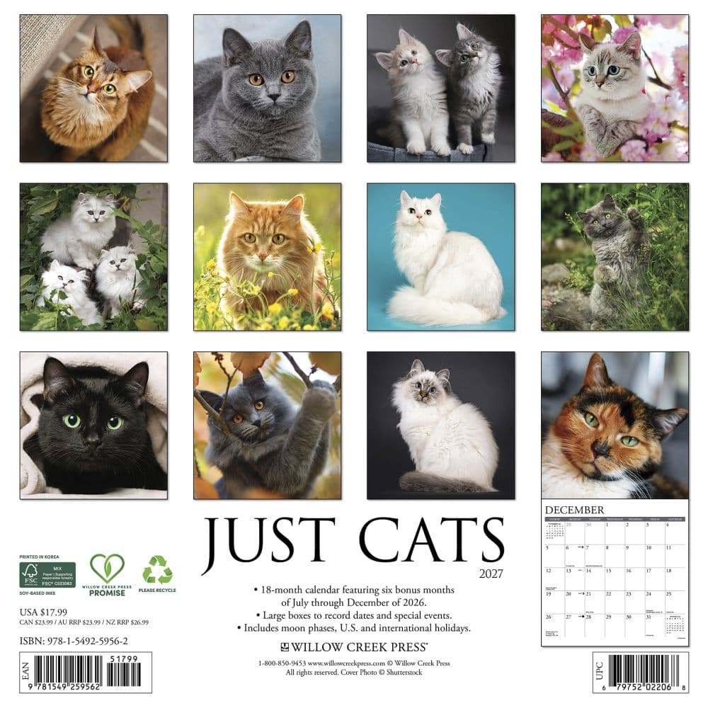 Just Cats 2027 Wall Calendar First Alternate Image