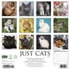 image Just Cats 2027 Wall Calendar First Alternate Image