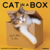 image Cat In A Box 2027 Wall Calendar Main Product Image