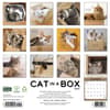 image Cat In A Box 2027 Wall Calendar First Alternate Image