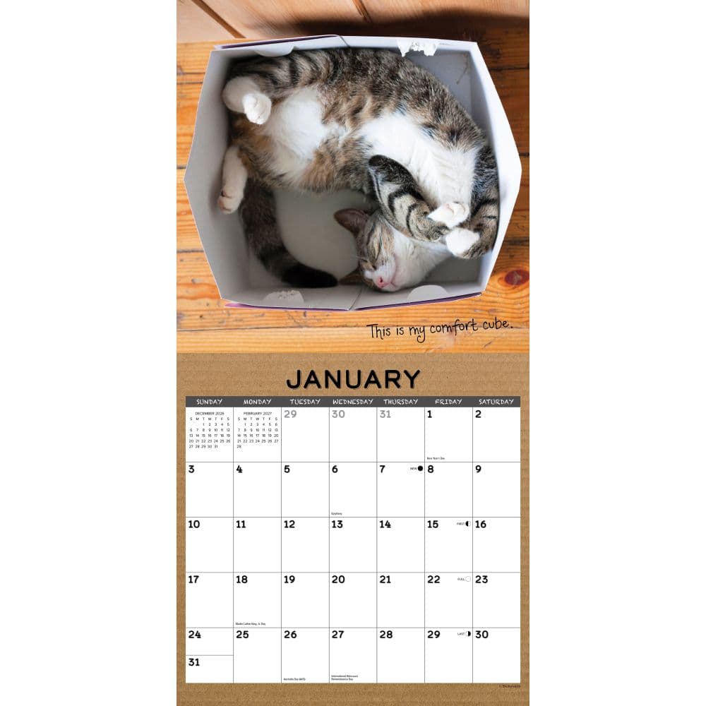Cat In A Box 2027 Wall Calendar Second Alternate Image