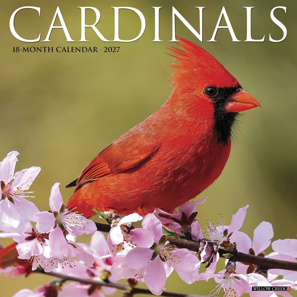 Cardinals 2027 Wall Calendar Main Product Image