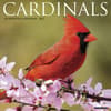 image Cardinals 2027 Wall Calendar Main Product Image