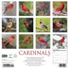image Cardinals 2027 Wall Calendar First Alternate Image