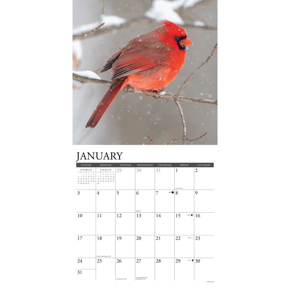 Cardinals 2027 Wall Calendar Second Alternate Image