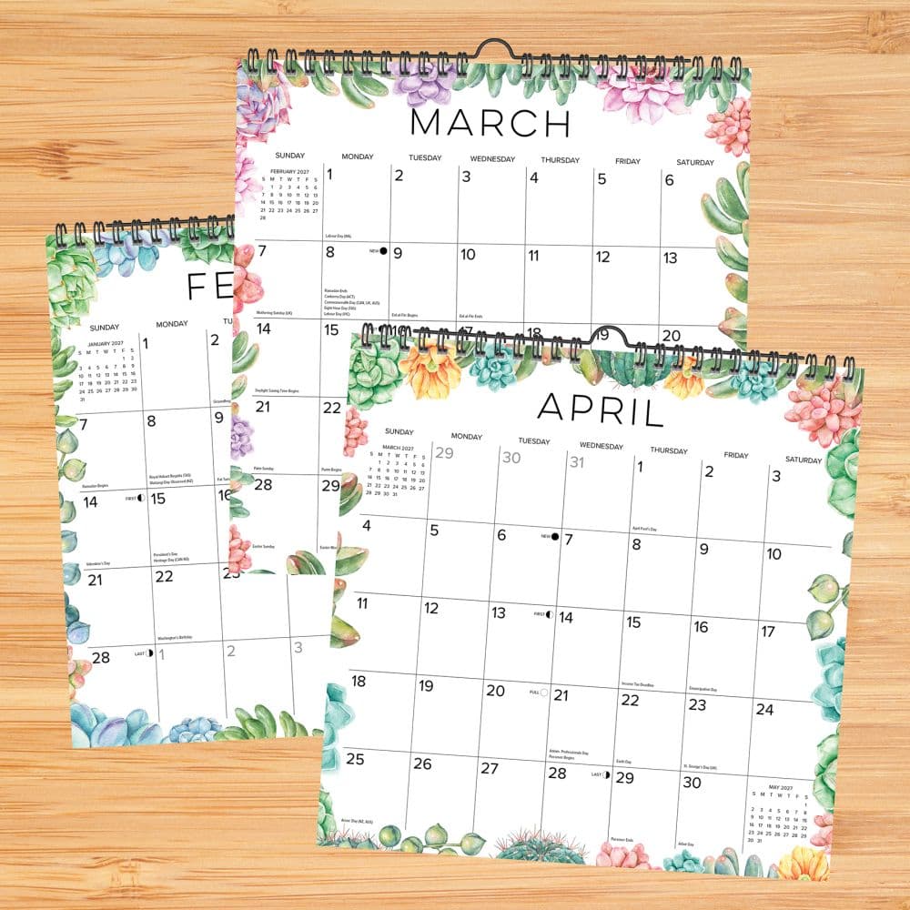 Succulents Spiral Art 2027 Wall Calendar Second Alternate Image