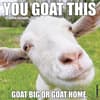 image You Goat This 2027 Wall Calendar Main Product Image