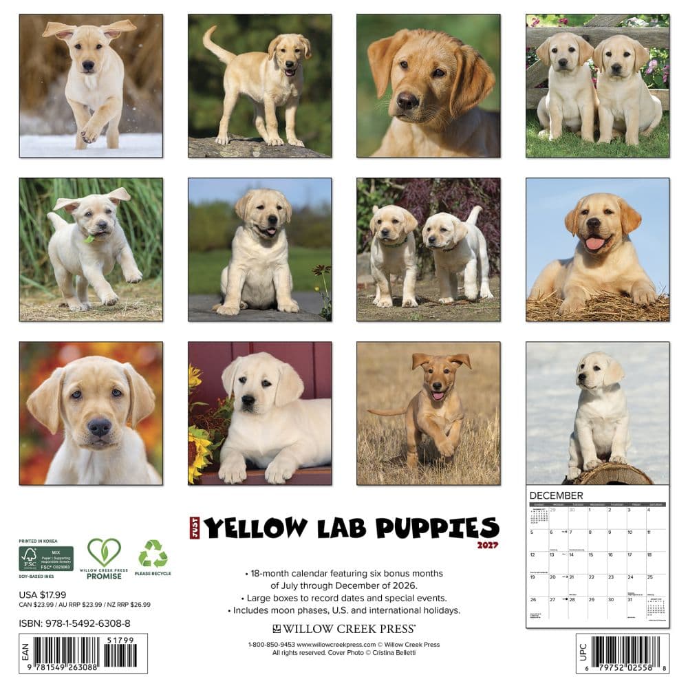 Just Yellow Lab Puppies 2027 Wall Calendar First Alternate Image