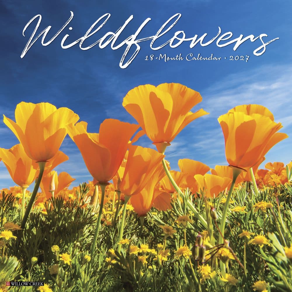 Wildflowers 2027 Wall Calendar Main Product Image