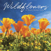 image Wildflowers 2027 Wall Calendar Main Product Image