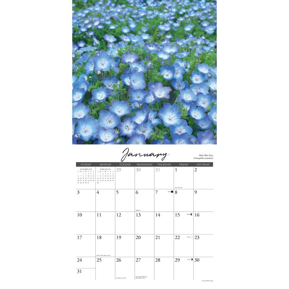 Wildflowers 2027 Wall Calendar Second Alternate Image