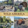image Wild America 2027 Wall Calendar Main Product Image