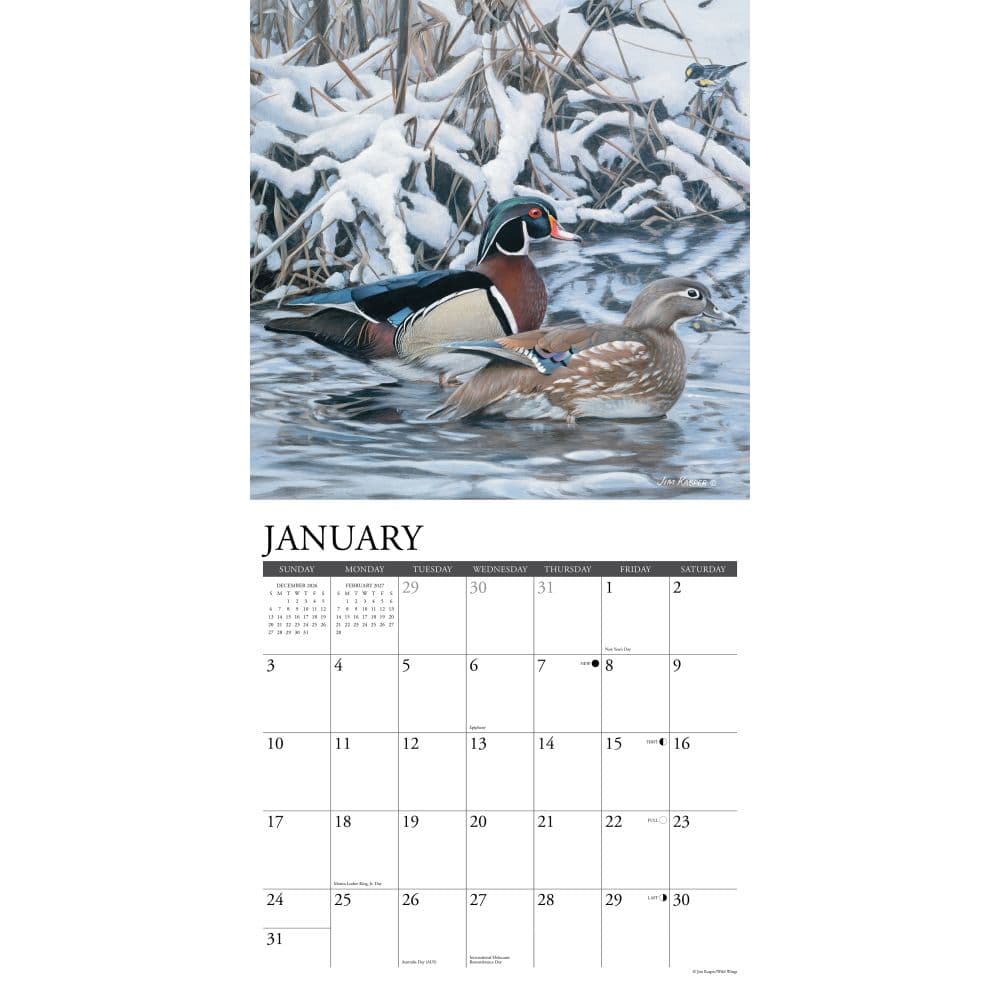 Wild America 2027 Wall Calendar Second Alternate Image