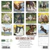 image Why Horses Do That 2027 Wall Calendar First Alternate Image