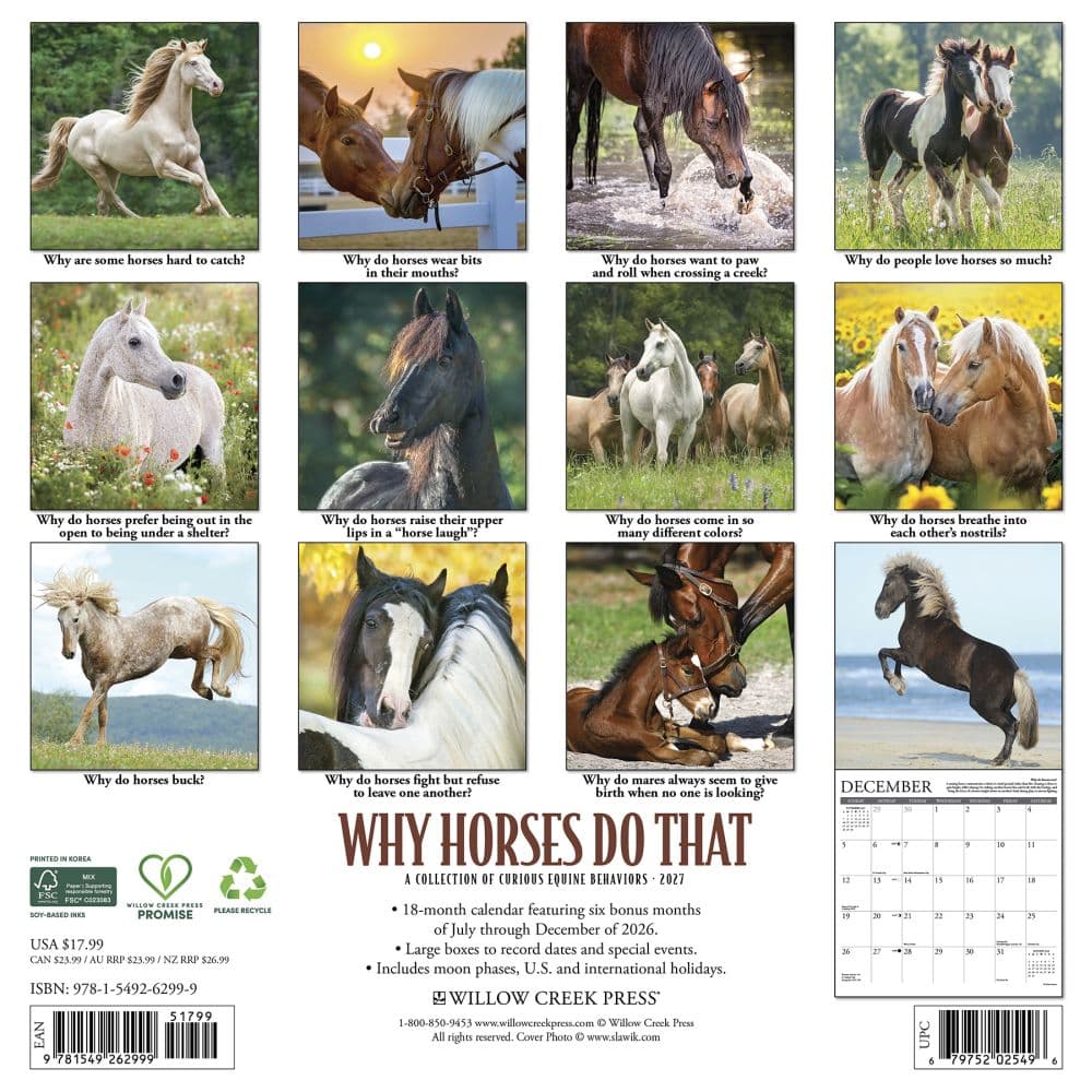 Why Horses Do That 2027 Wall Calendar First Alternate Image