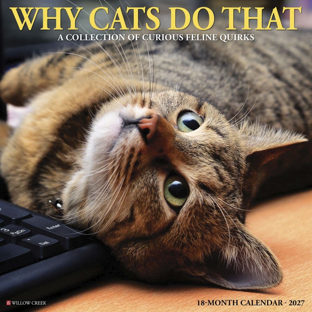 Why Cats Do That 2027 Wall Calendar Main Product Image