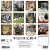image Why Cats Do That 2027 Wall Calendar First Alternate Image