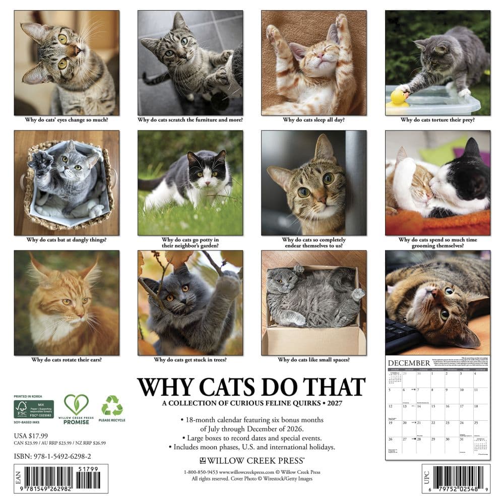 Why Cats Do That 2027 Wall Calendar First Alternate Image
