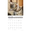 image Why Cats Do That 2027 Wall Calendar Second Alternate Image