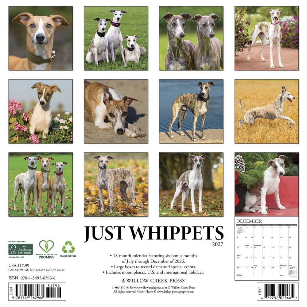 Just Whippets 2027 Wall Calendar First Alternate Image