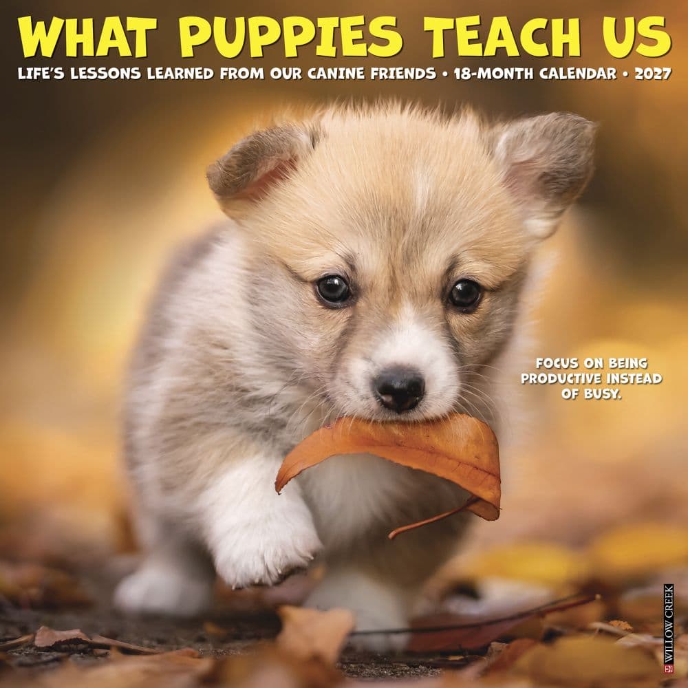What Puppies Teach Us 2027 Wall Calendar Main Product Image