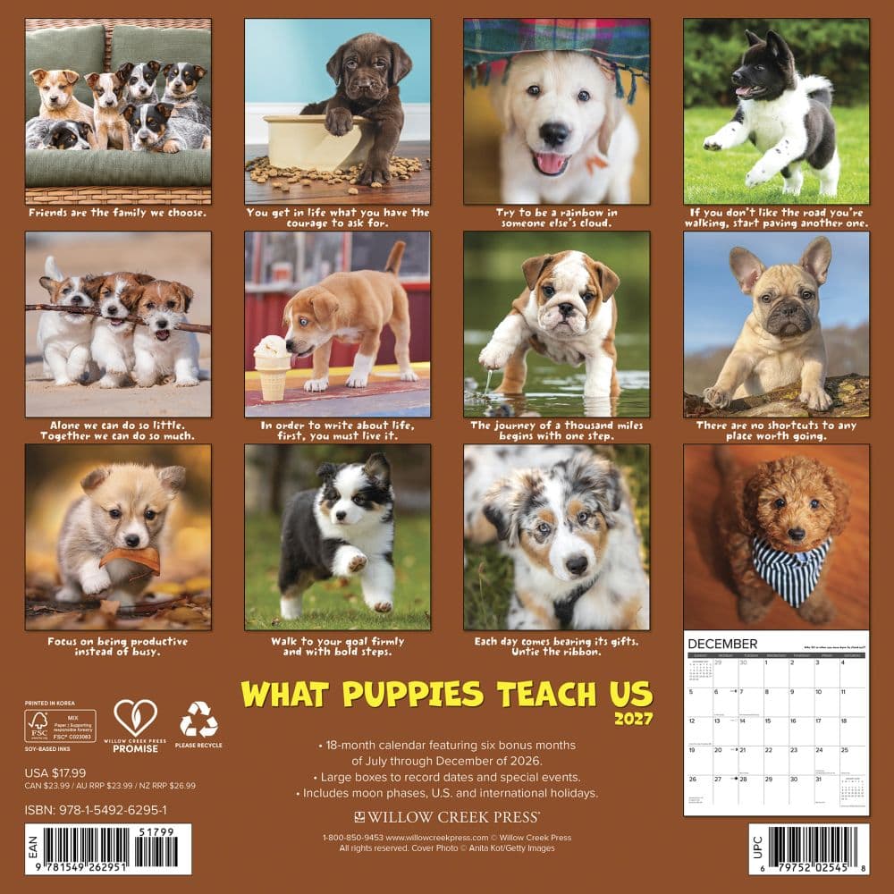 What Puppies Teach Us 2027 Wall Calendar First Alternate Image