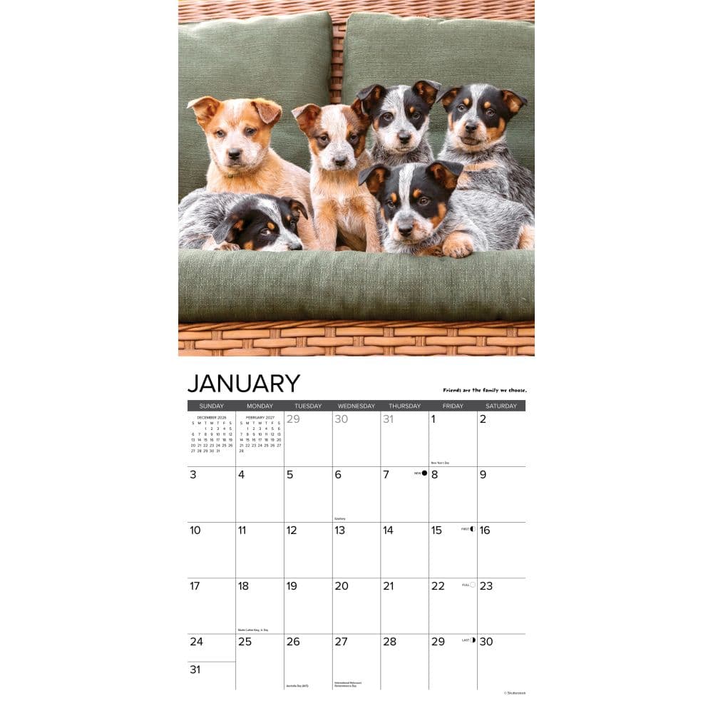 What Puppies Teach Us 2027 Wall Calendar Second Alternate Image