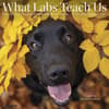 image What Labs Teach Us 2027 Wall Calendar Main Product Image