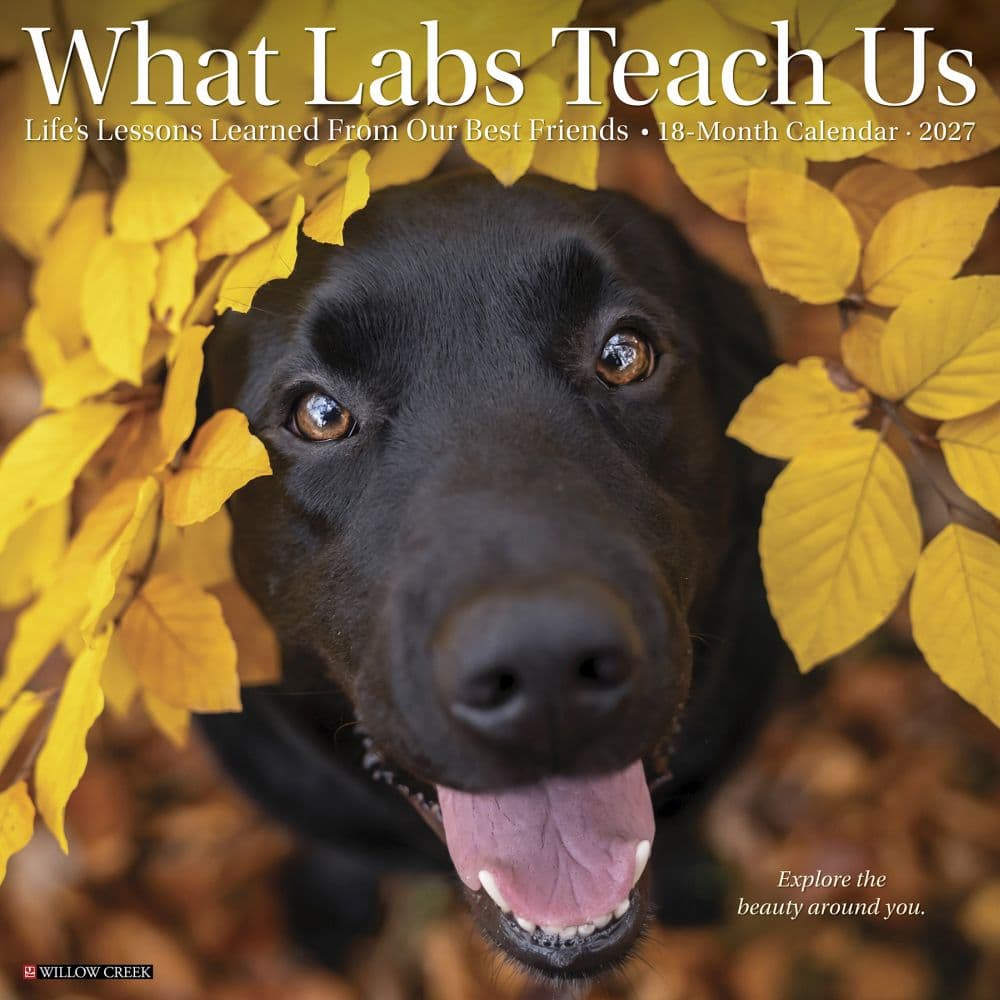 image What Labs Teach Us 2027 Wall Calendar Main Product Image