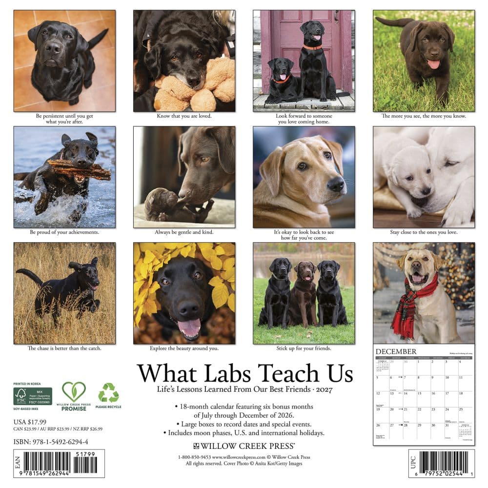 What Labs Teach Us 2027 Wall Calendar First Alternate Image
