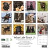image What Labs Teach Us 2027 Wall Calendar First Alternate Image
