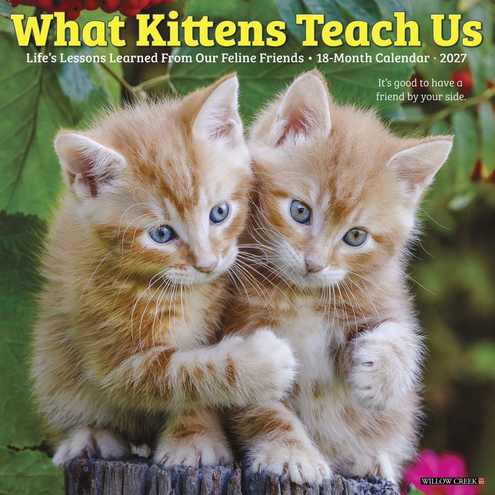 What Kittens Teach Us 2027 Wall Calendar Main Product Image